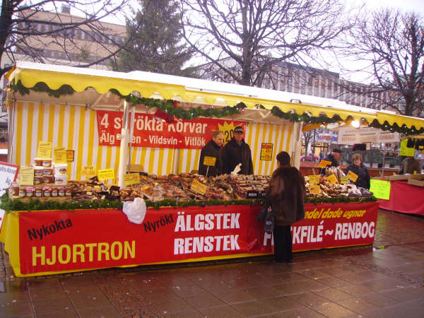 Stora Torget Borås i december 2008